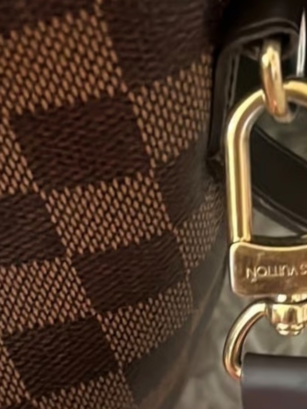 Louis Vuitton Damien Ebene Siena PM w/ strap - Picture 3 of 15